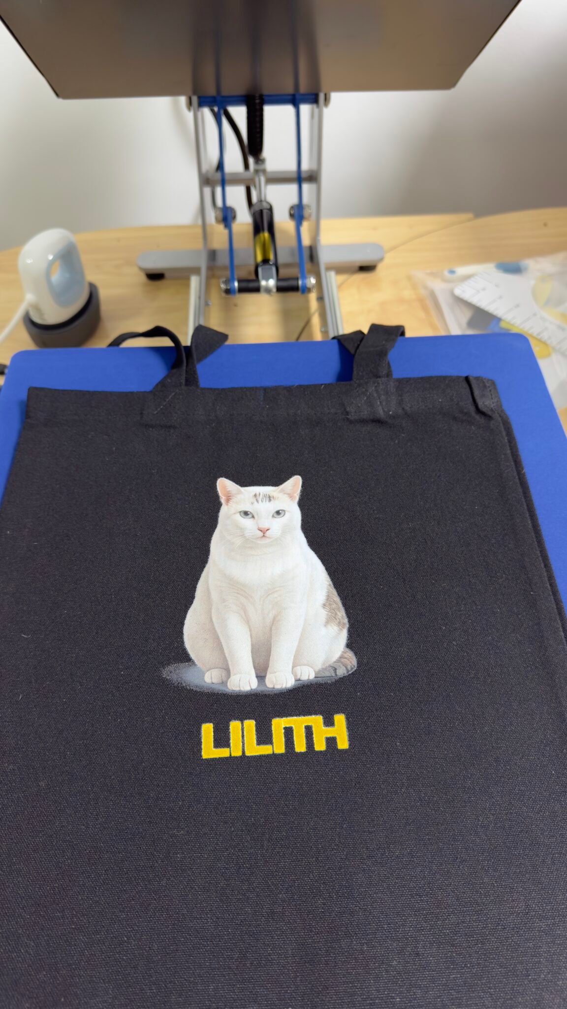 Inicio 20251120 143418653 ios