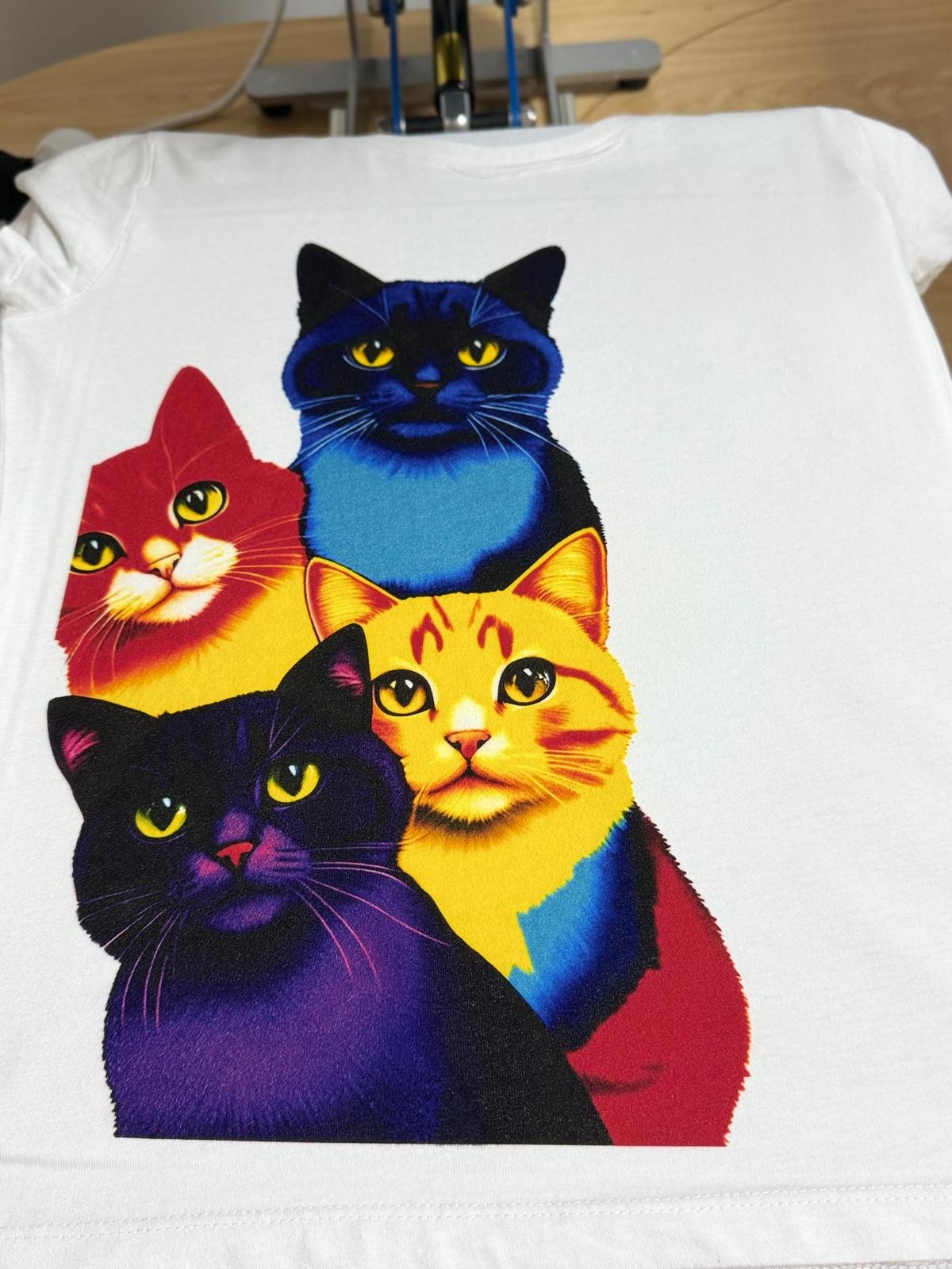 whatsapp image 2026 02 02 at 17.05.17