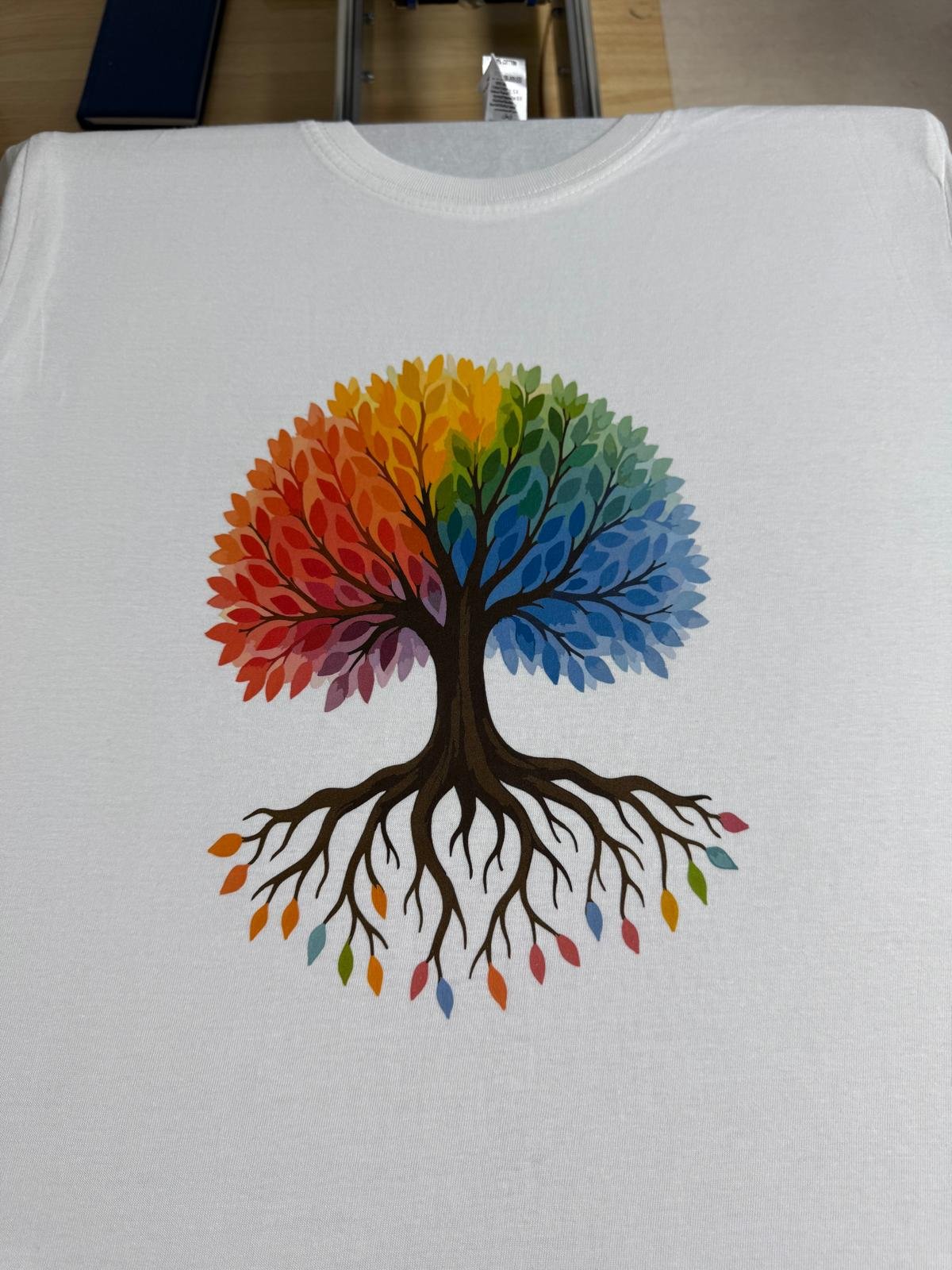 whatsapp image 2026 02 02 at 17.05.20 (1)